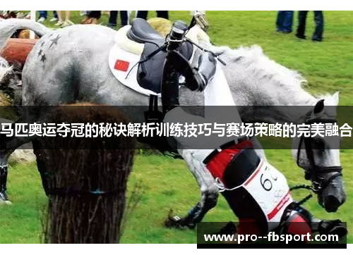 马匹奥运夺冠的秘诀解析训练技巧与赛场策略的完美融合