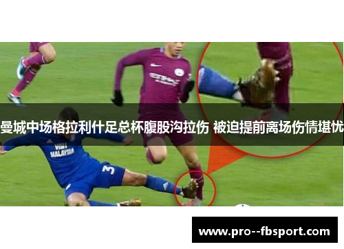 曼城中场格拉利什足总杯腹股沟拉伤 被迫提前离场伤情堪忧