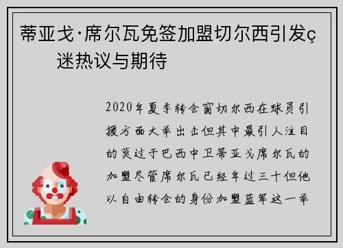 蒂亚戈·席尔瓦免签加盟切尔西引发球迷热议与期待